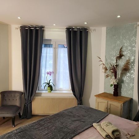 Mirka & Franck Apartment Chic 4 Stars Parking Free コルマール エクステリア 写真