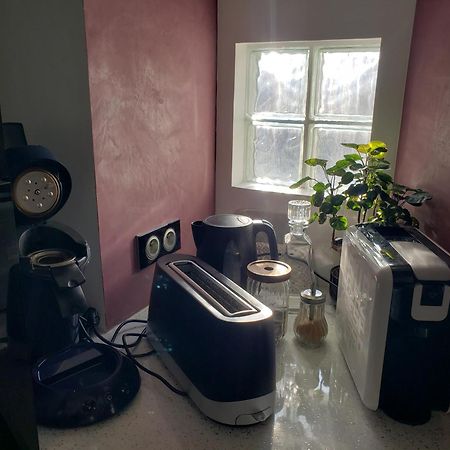 Mirka & Franck Apartment Chic 4 Stars Parking Free コルマール エクステリア 写真