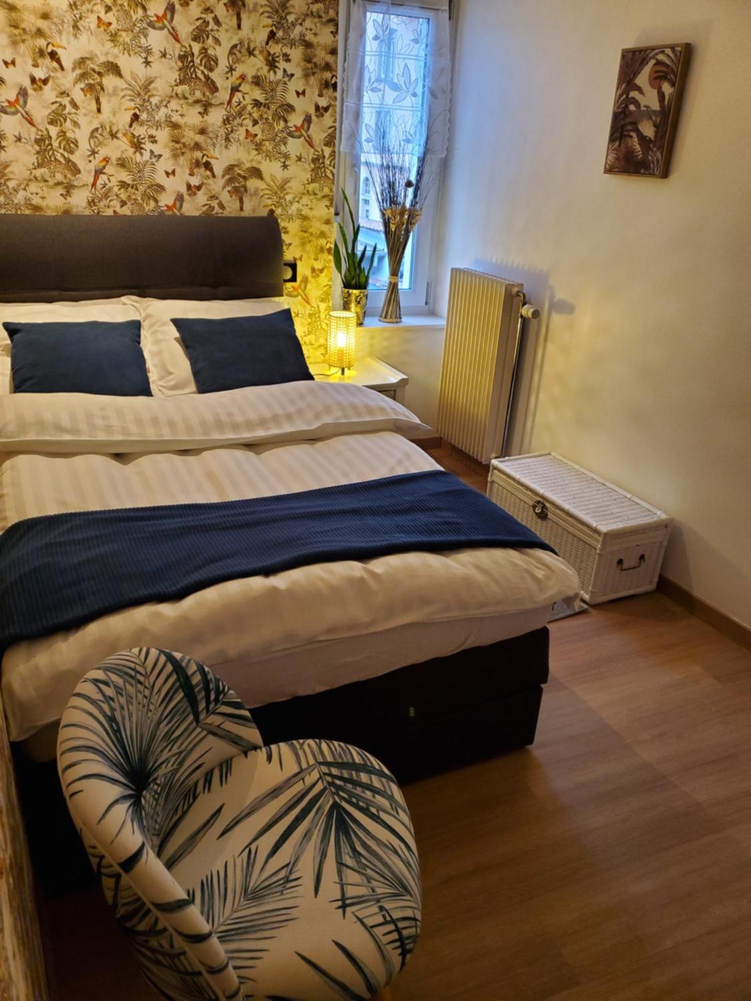 Mirka & Franck Apartment Chic 4 Stars Parking Free コルマール エクステリア 写真