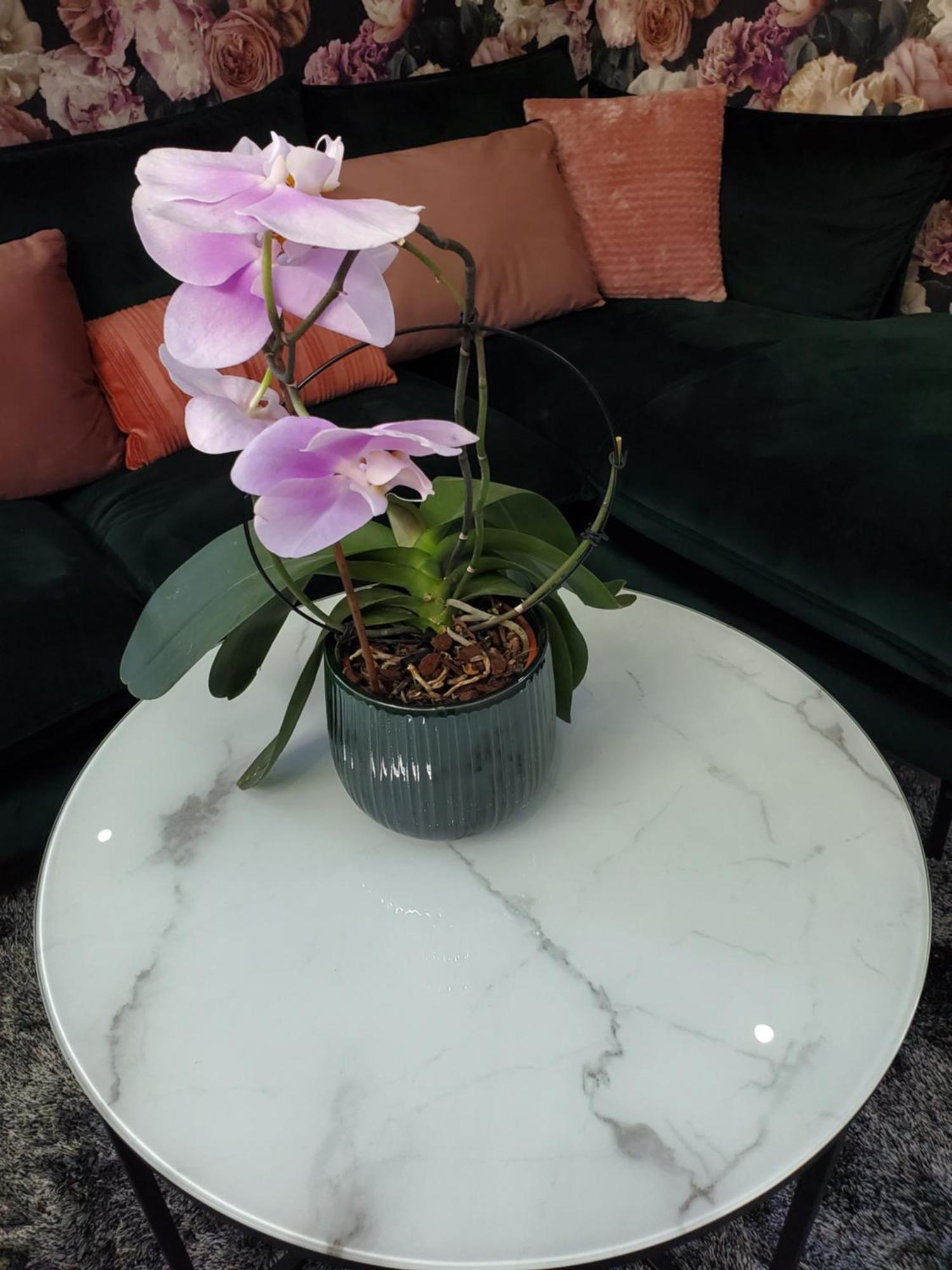 Mirka & Franck Apartment Chic 4 Stars Parking Free コルマール エクステリア 写真