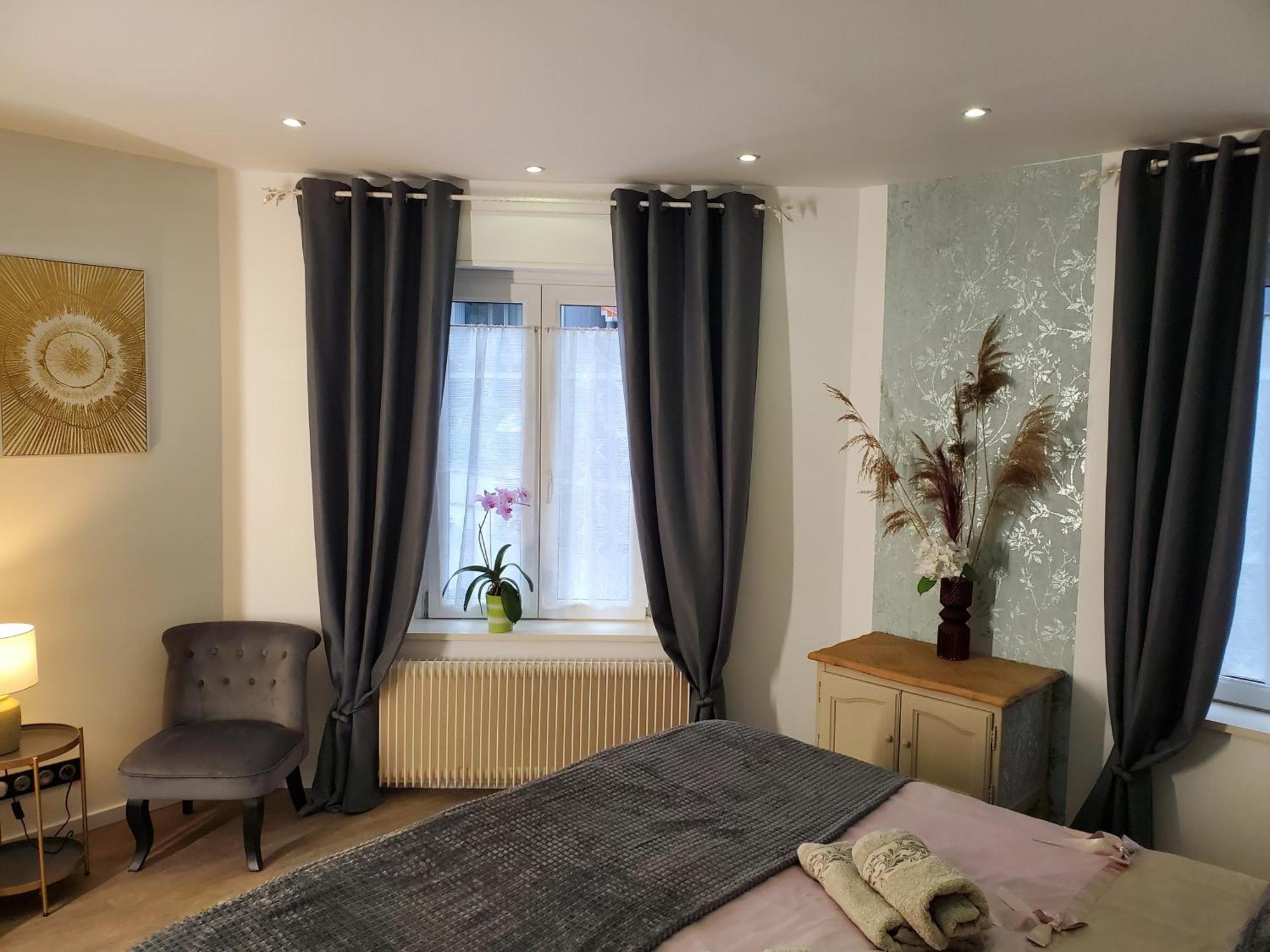 Mirka & Franck Apartment Chic 4 Stars Parking Free コルマール エクステリア 写真